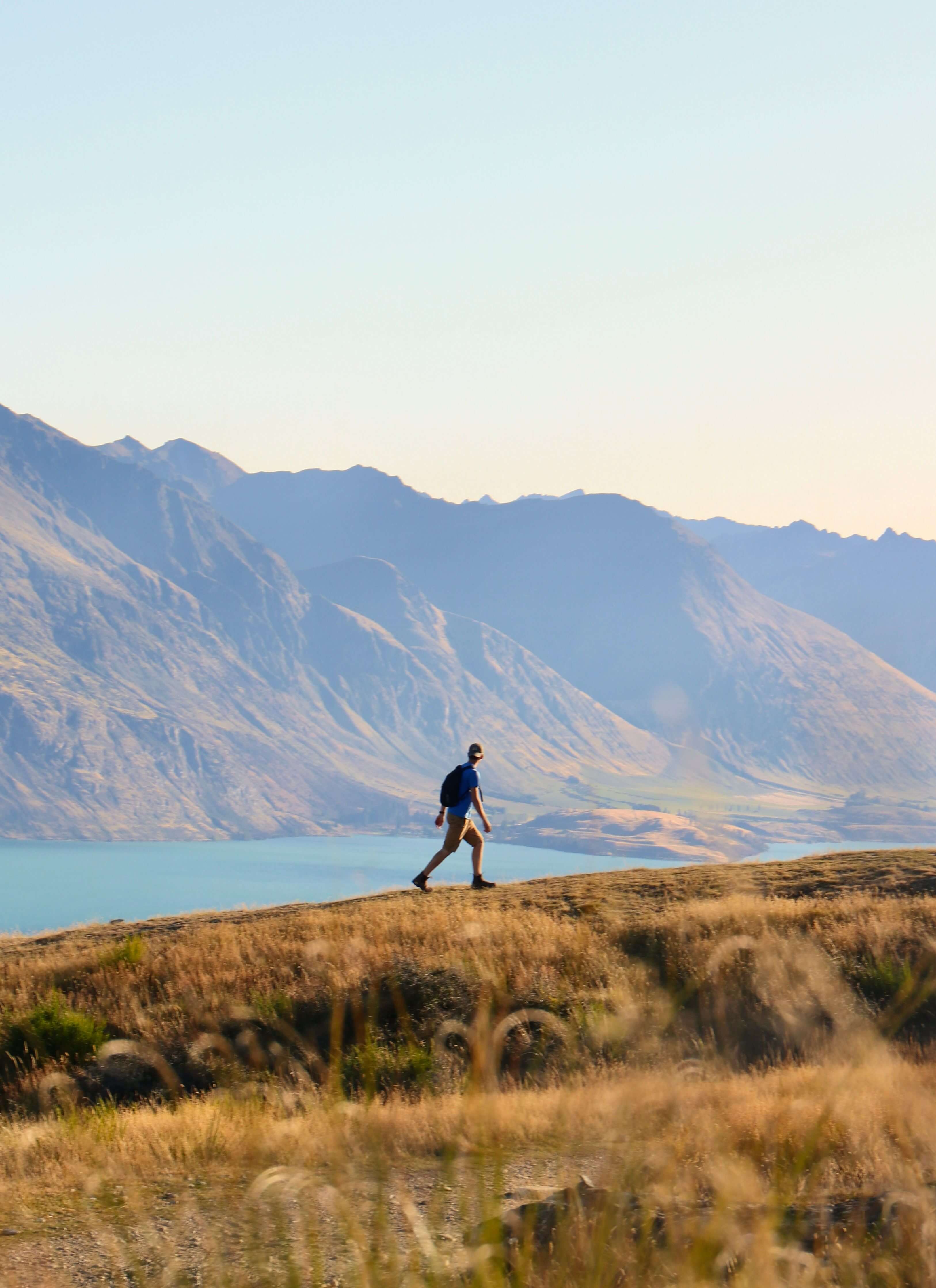 NZ Hiking Adventure
